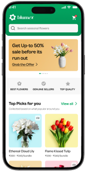 Phone displaying Blumex app