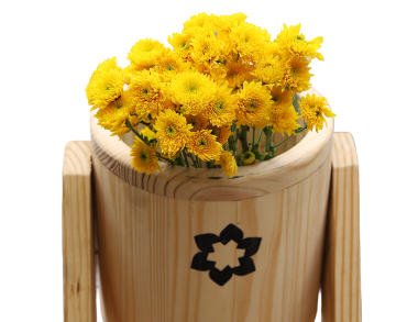 Roses Dark Pink and Yellow