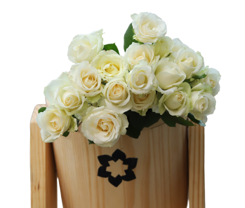 White Roses
